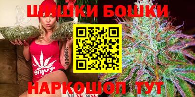 индика Мариинск