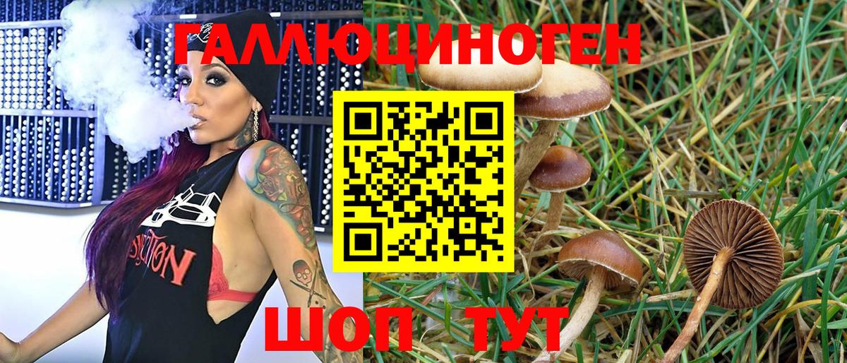 Псилоцибиновые грибы GOLDEN TEACHER Каменск-Уральский